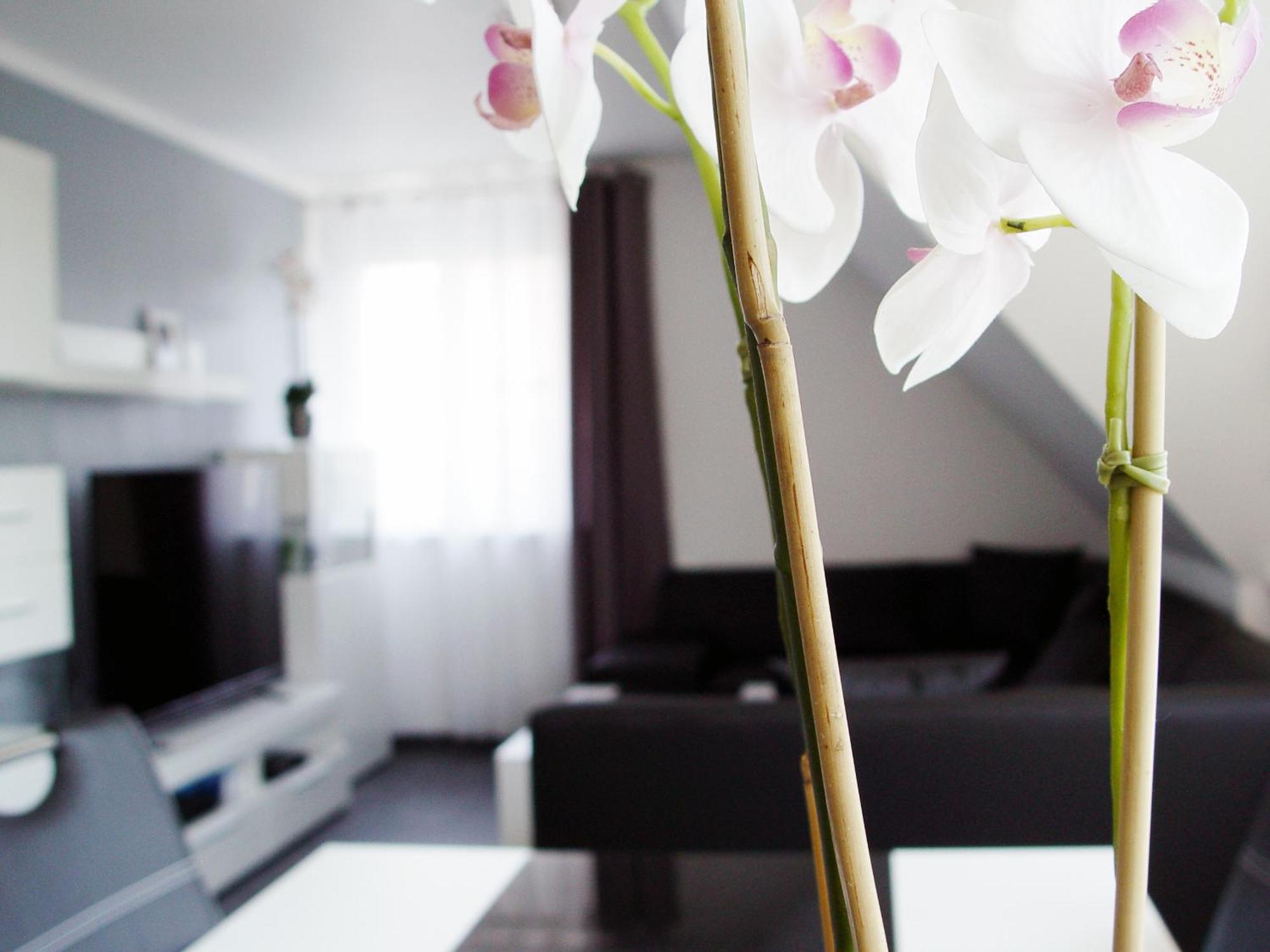 La Domus Premium Apartment Lotte Bagian luar foto